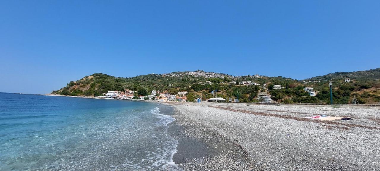 Mirsinia Apartments - Skopelos ラウトラキオン エクステリア 写真